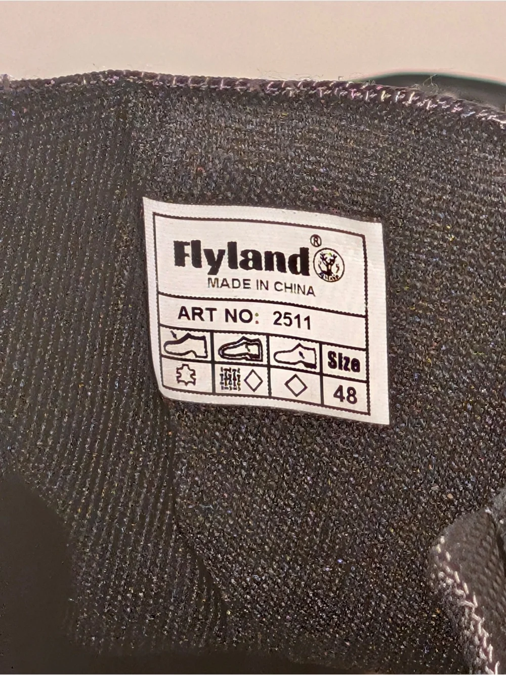 Flyland Black Men's Casual Lace-Up Shoes